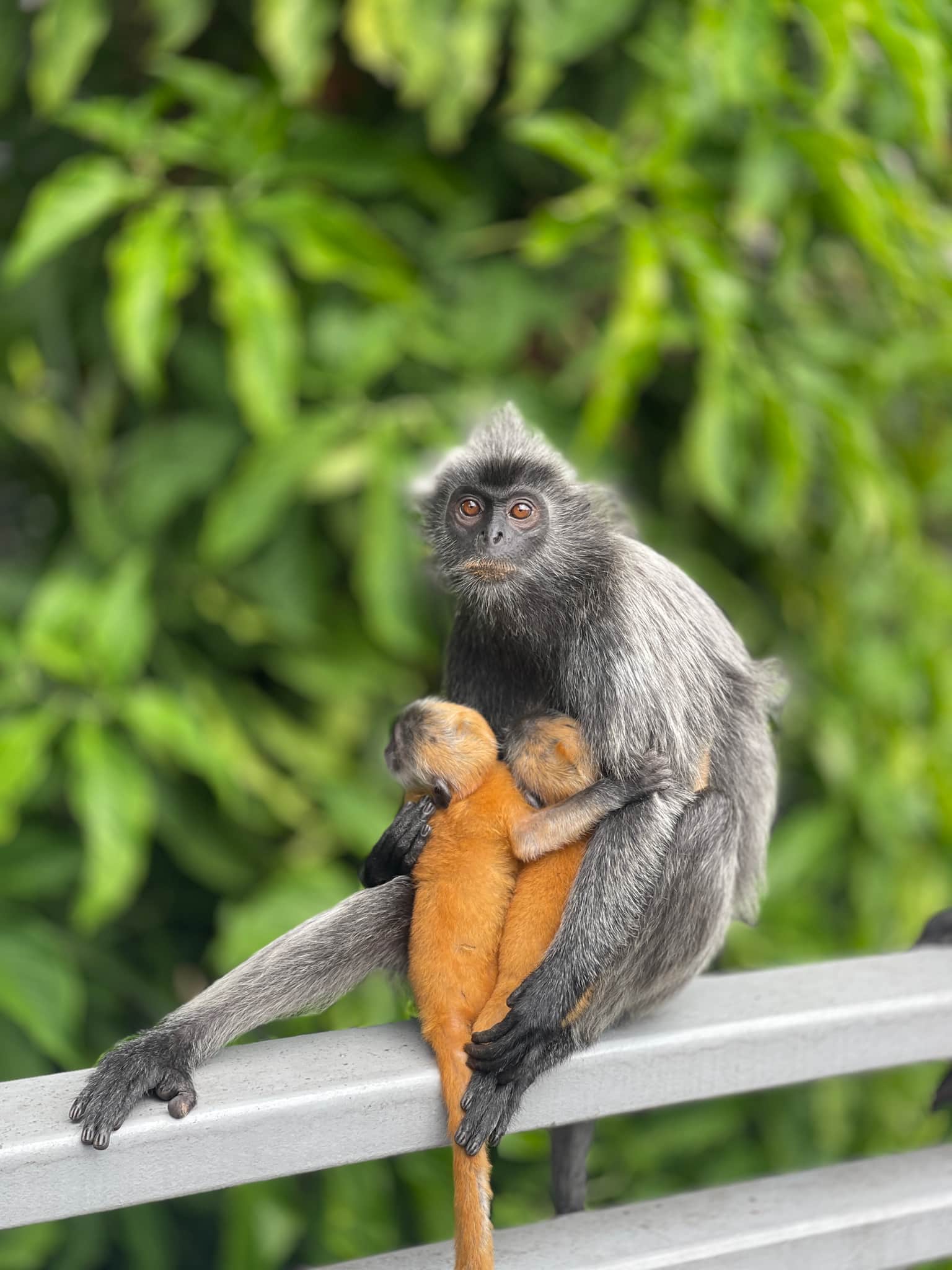 Photo from Azhar Jusuh's trip