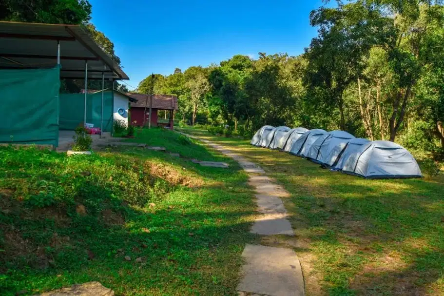 Riverside Camping in Sakleshpur, Karnataka