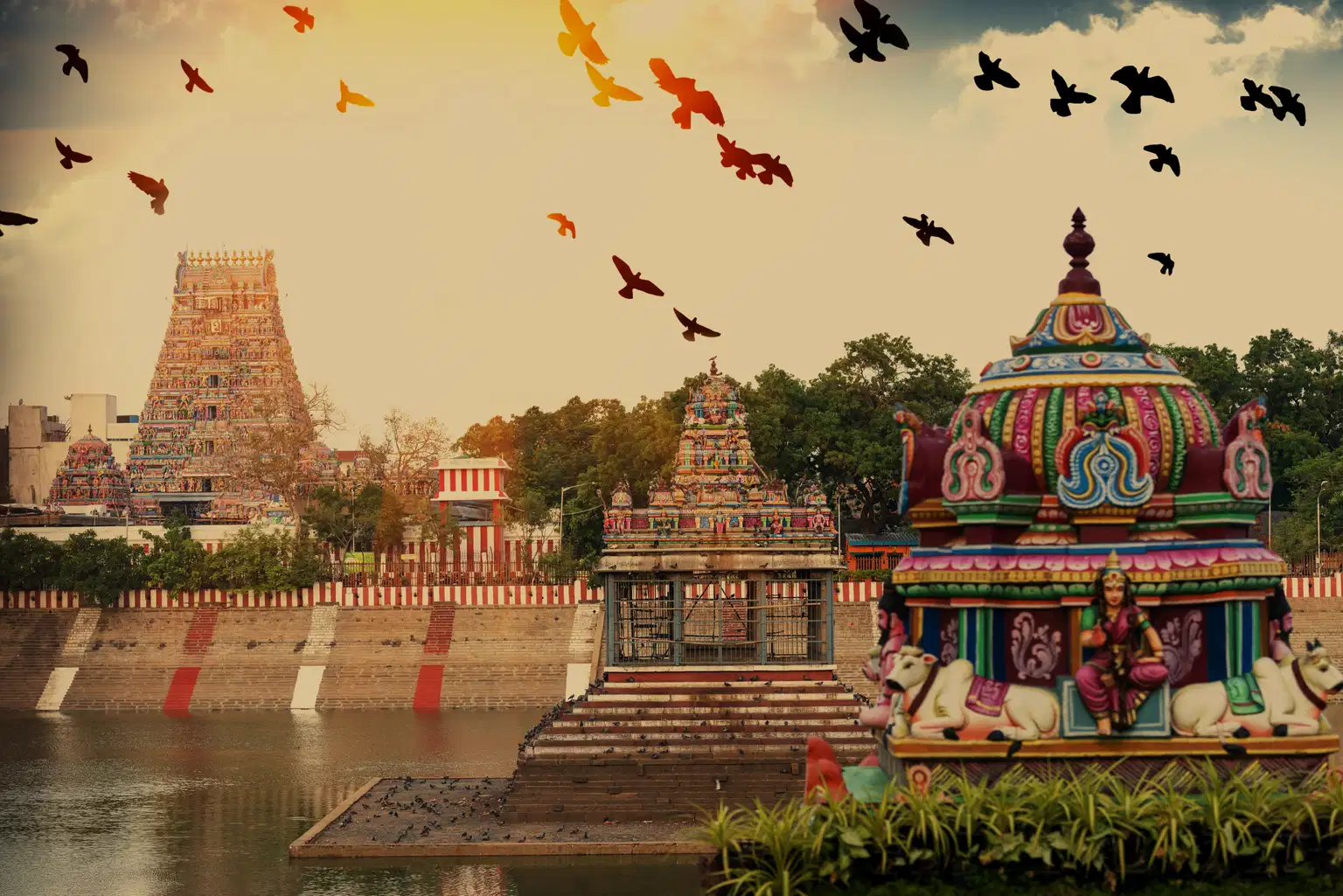 A Cultural Odyssey in Tamil Nadu