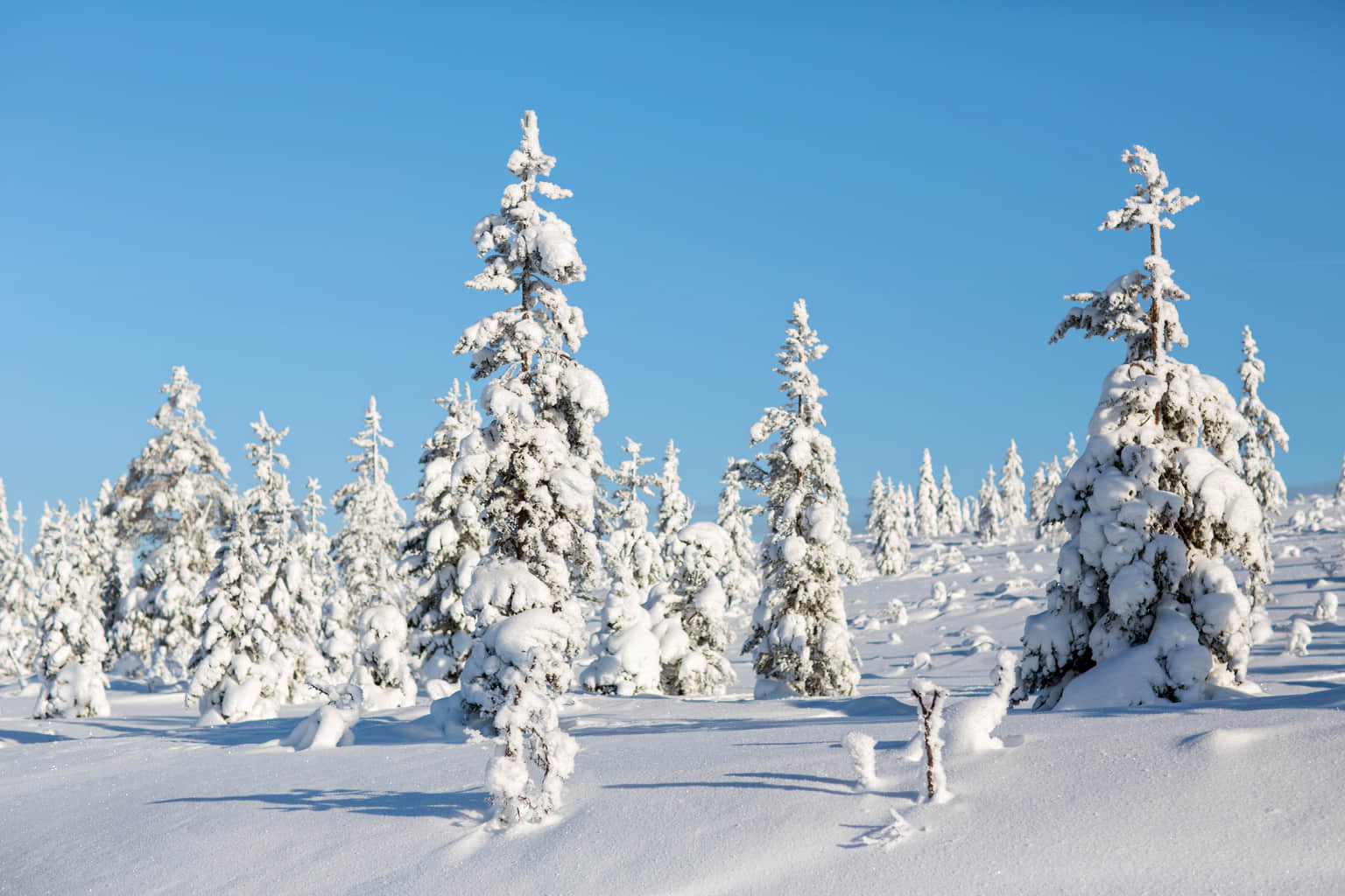 Urho Kekkonen National Park