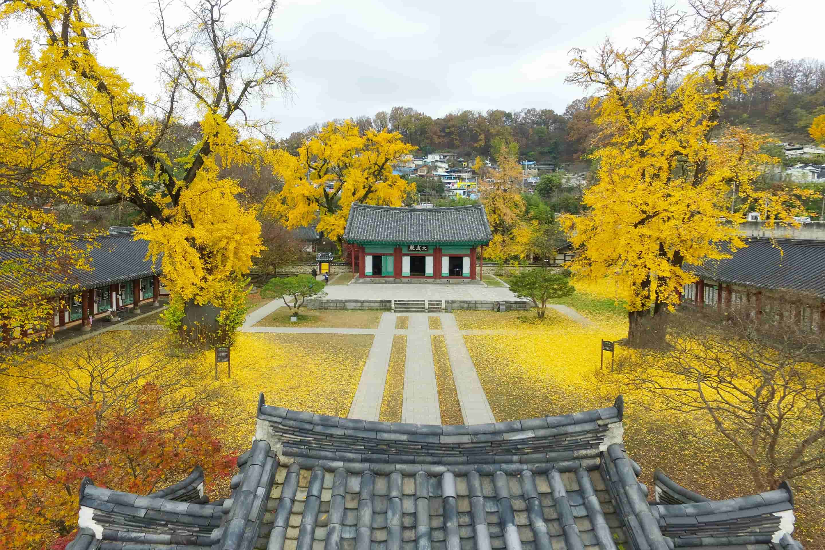 Jeonju Tour Packages