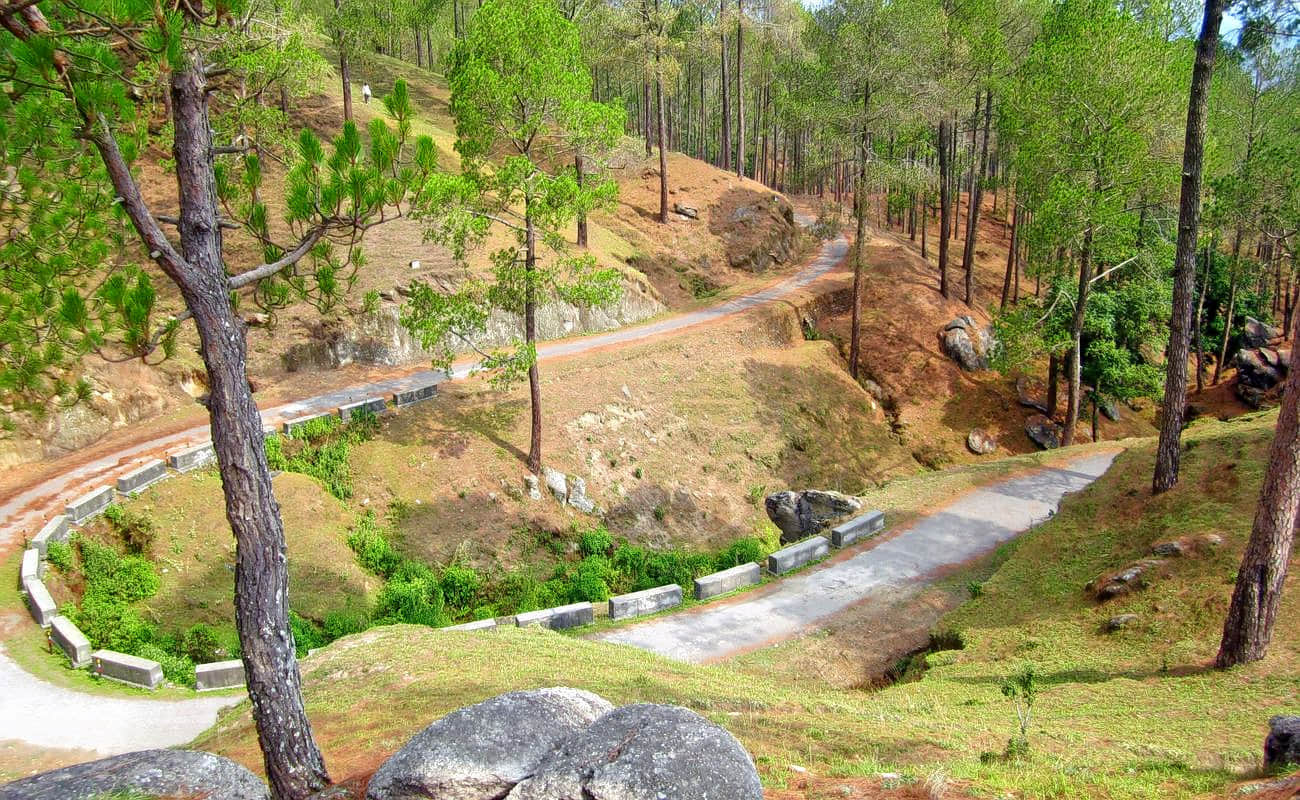 Tarikhet Village