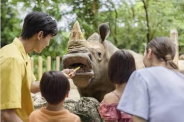 keeper talk singapore zoo.jpg