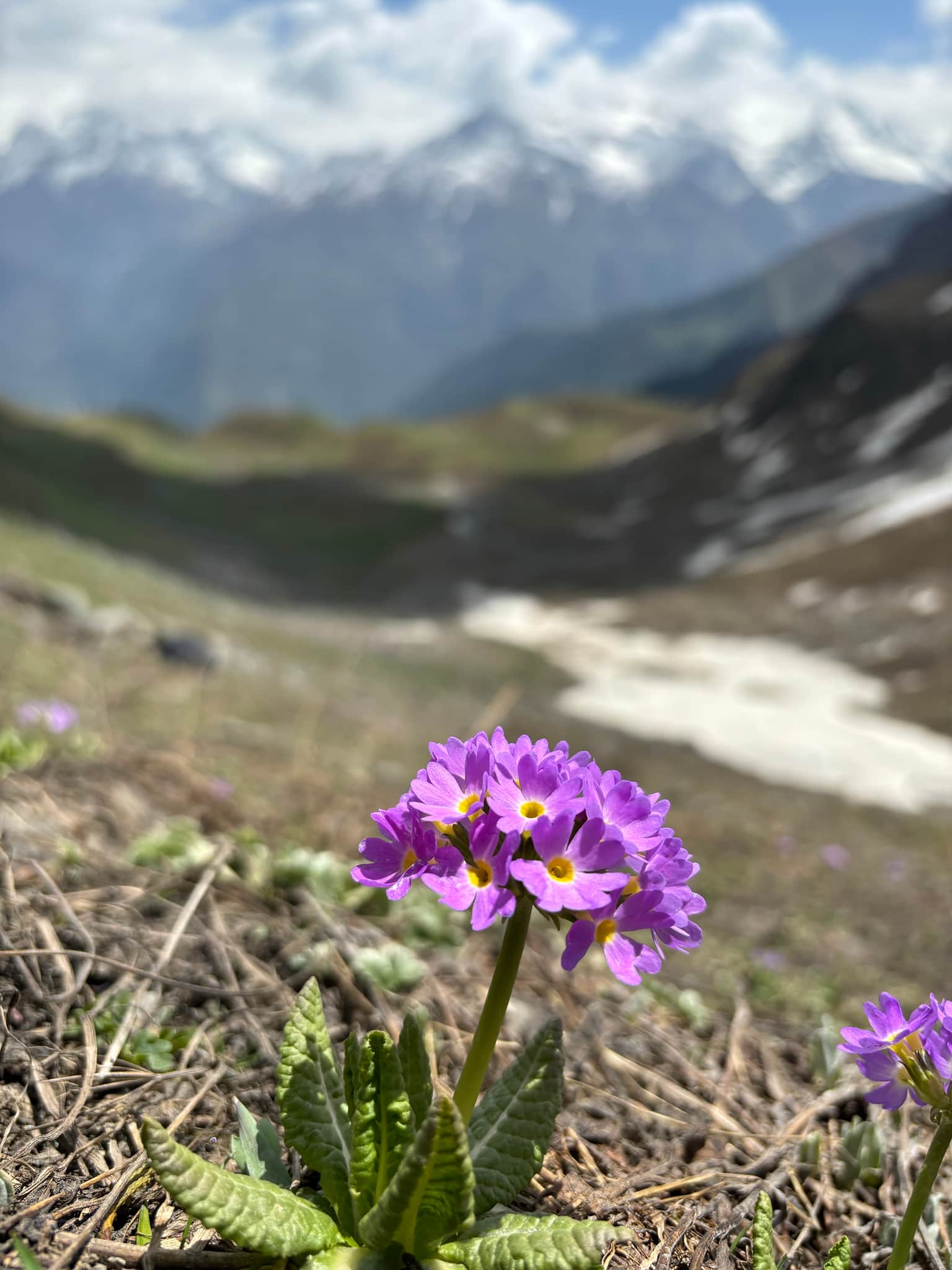 Photo from Rahul Mandaley's trip
