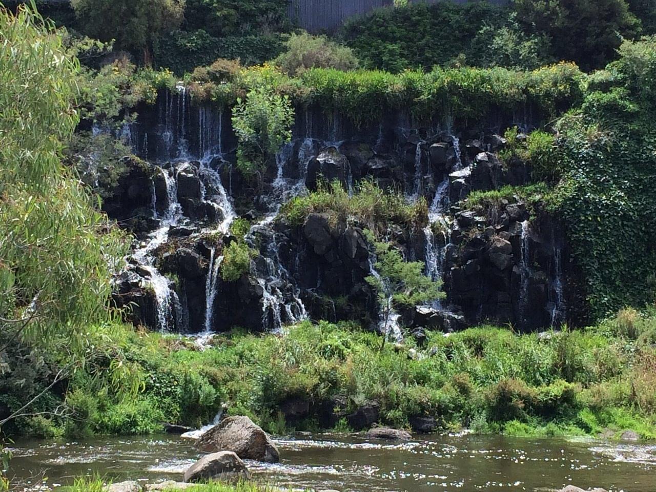 Buckley Falls Overview