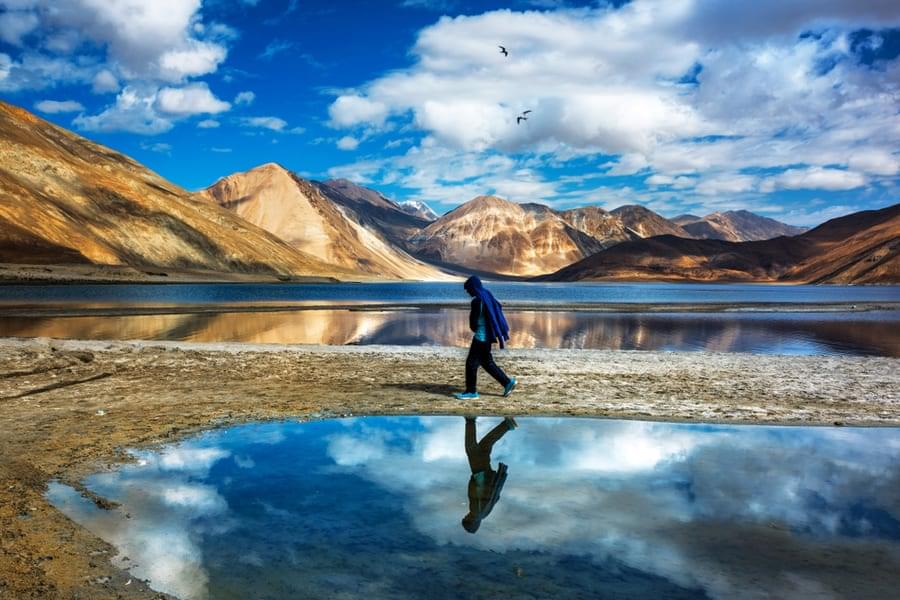 Spend some of "me time" and have a peaceful walk around the pangong lakeshore