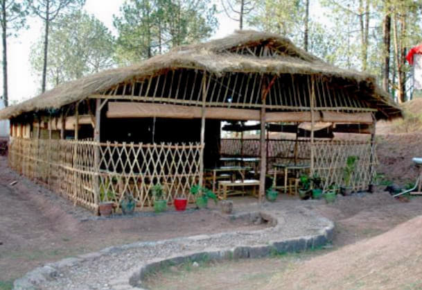 Jungle Camp Kasauli #4