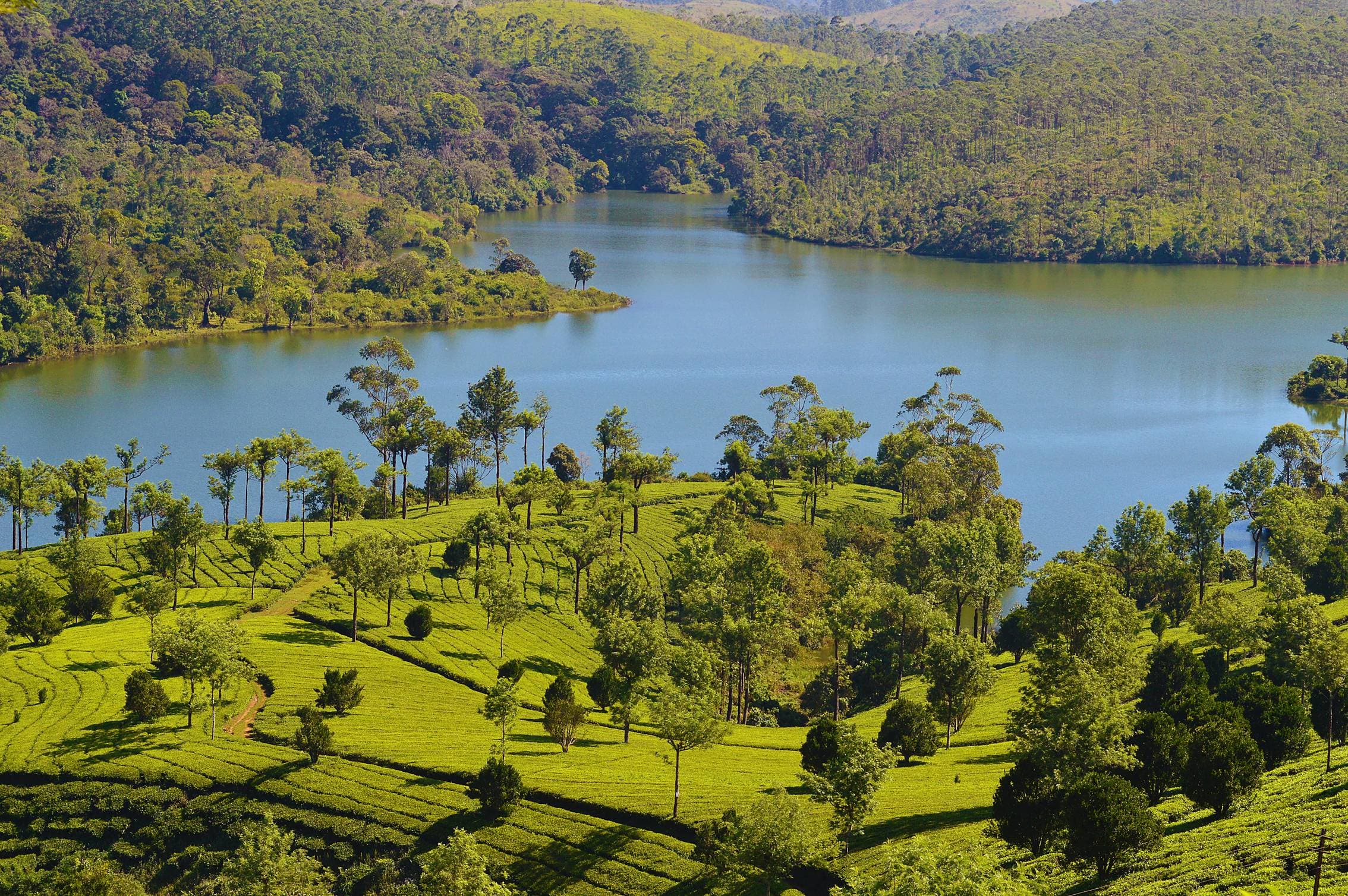 Periyar Tiger Reserve & Periyar Lake