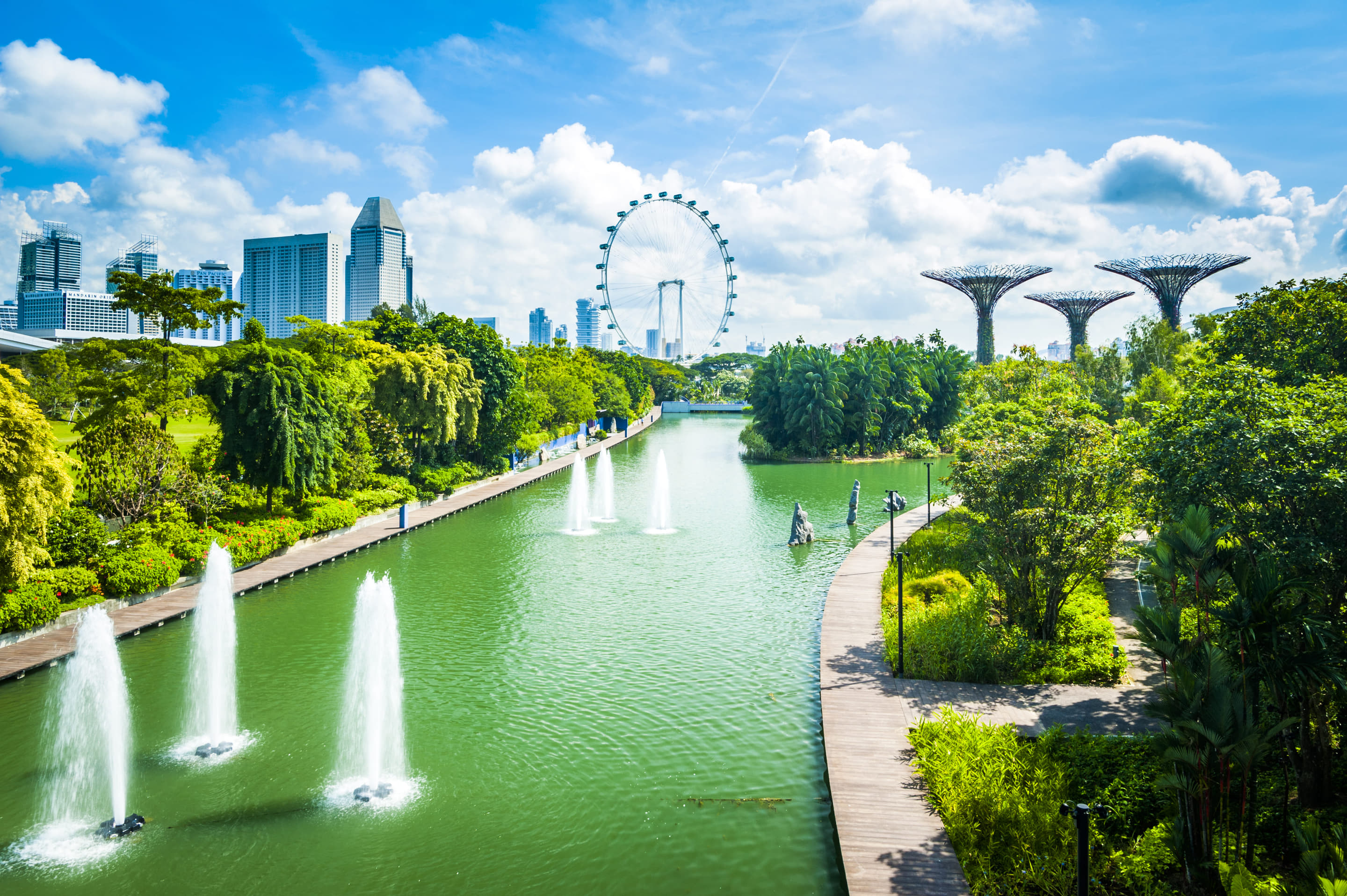 Iconic Supertree Grove at Gardens by the Bay