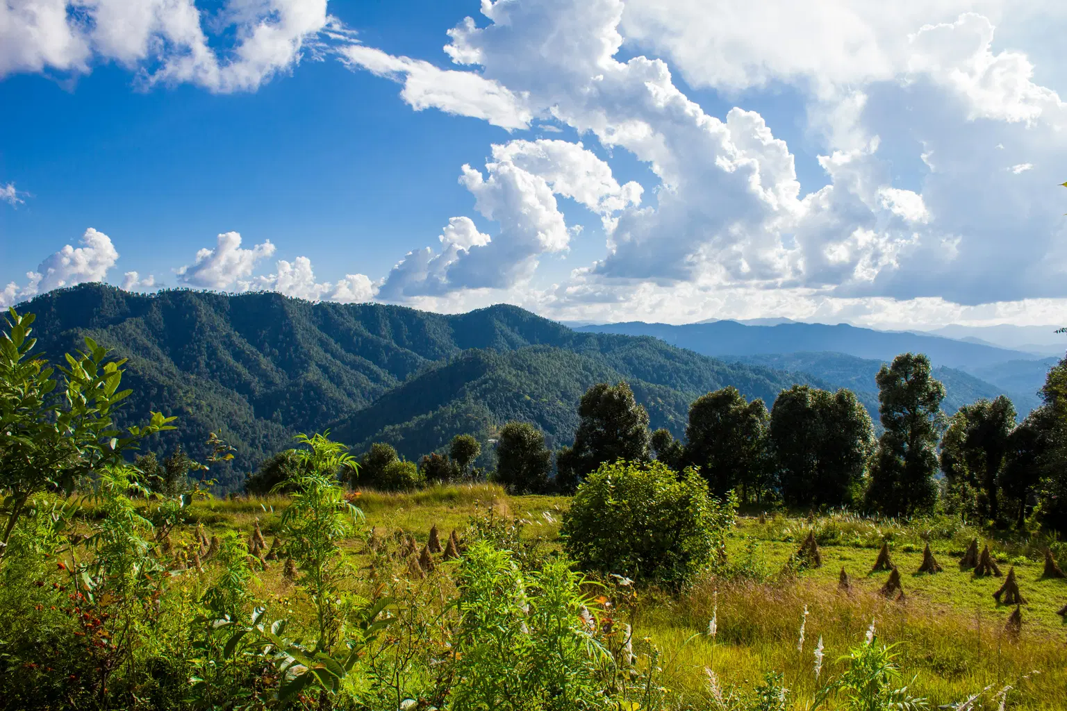 Resorts in Binsar