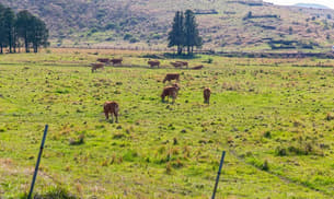 O3ebazspijkr4se6m9n083y0nkw8 1597347544 3333