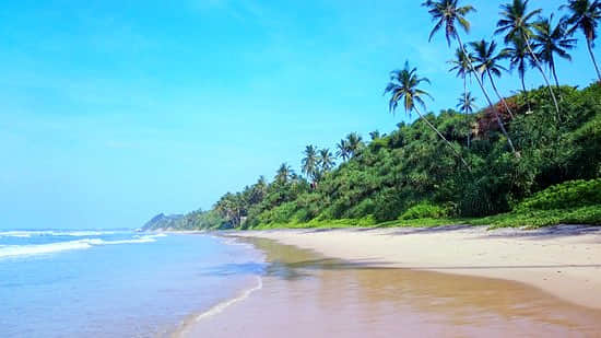 Matara Beach, <em>Mirissa</em>