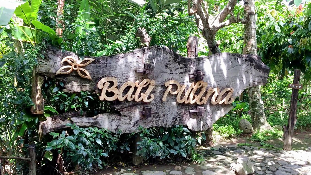 Bali Pulina Overview