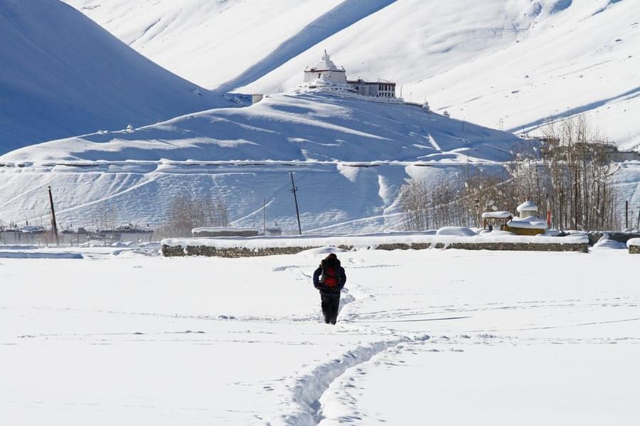 snow leopard trek