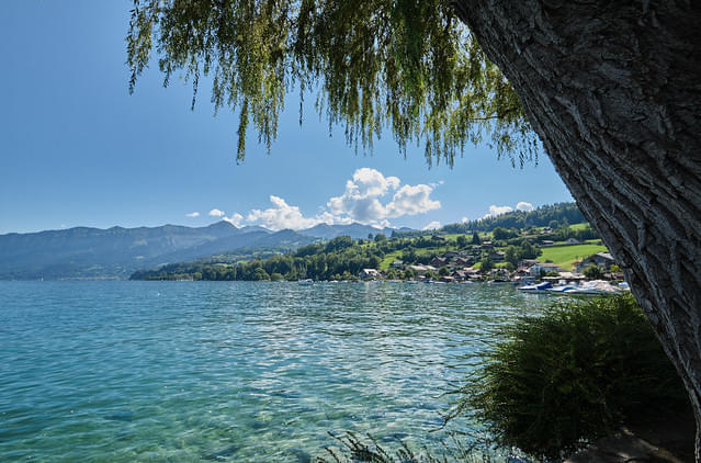 Lake Thun