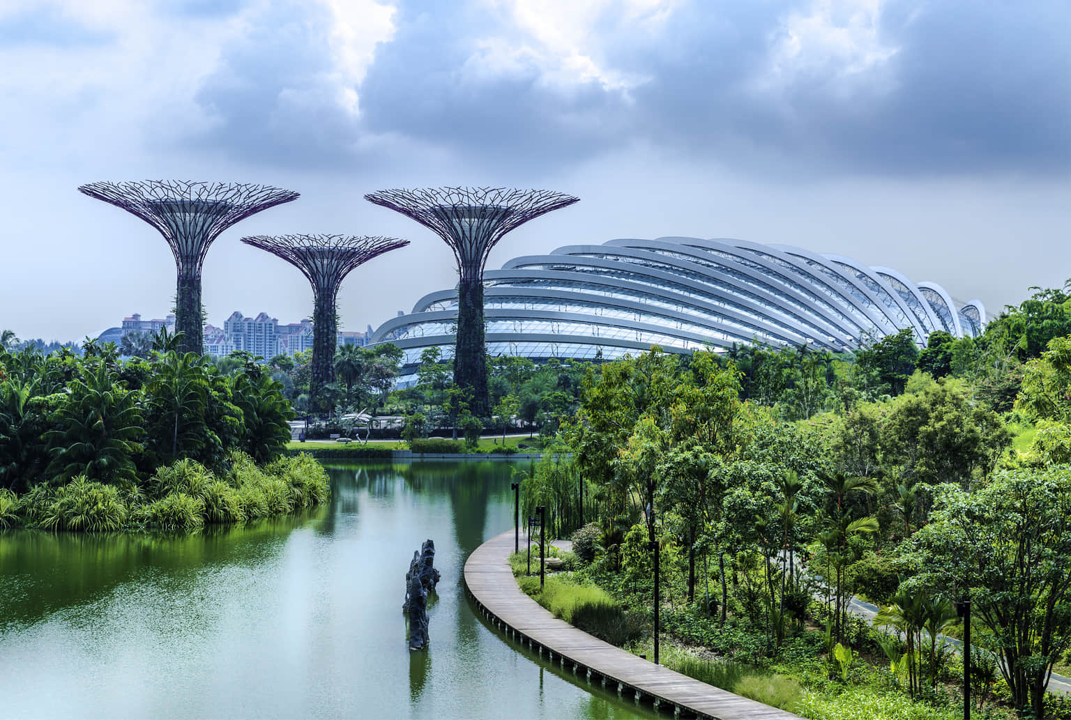 Gardens by the bay