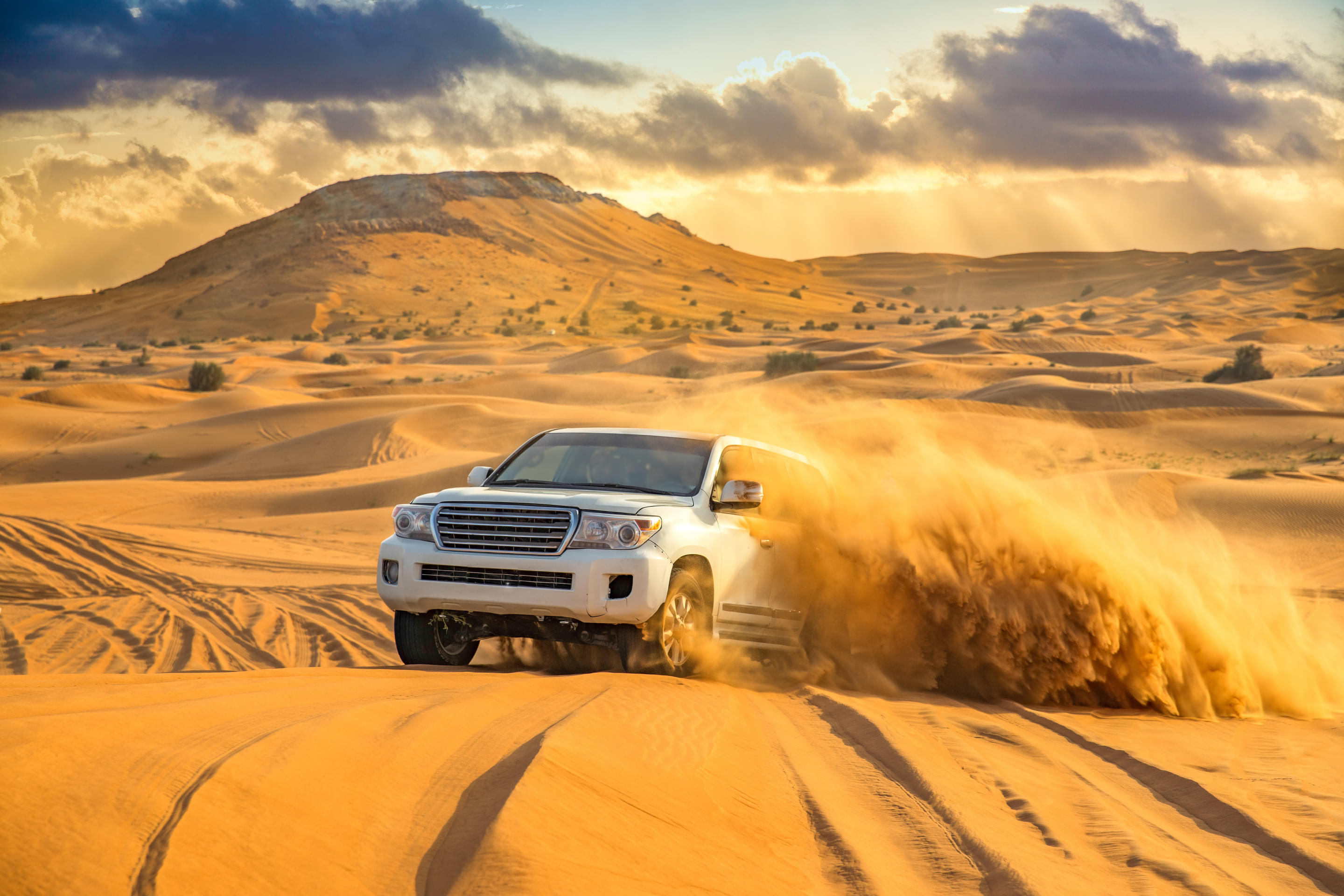 Dune Bashing in Rajasthan