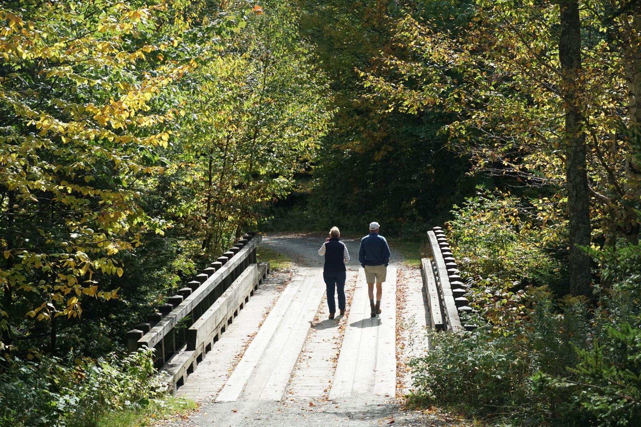 Nature Walks