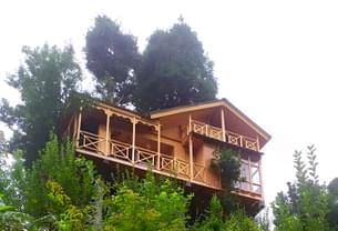 Experience Himalayan elegance with an overnight stay in a tree house in Jibhi