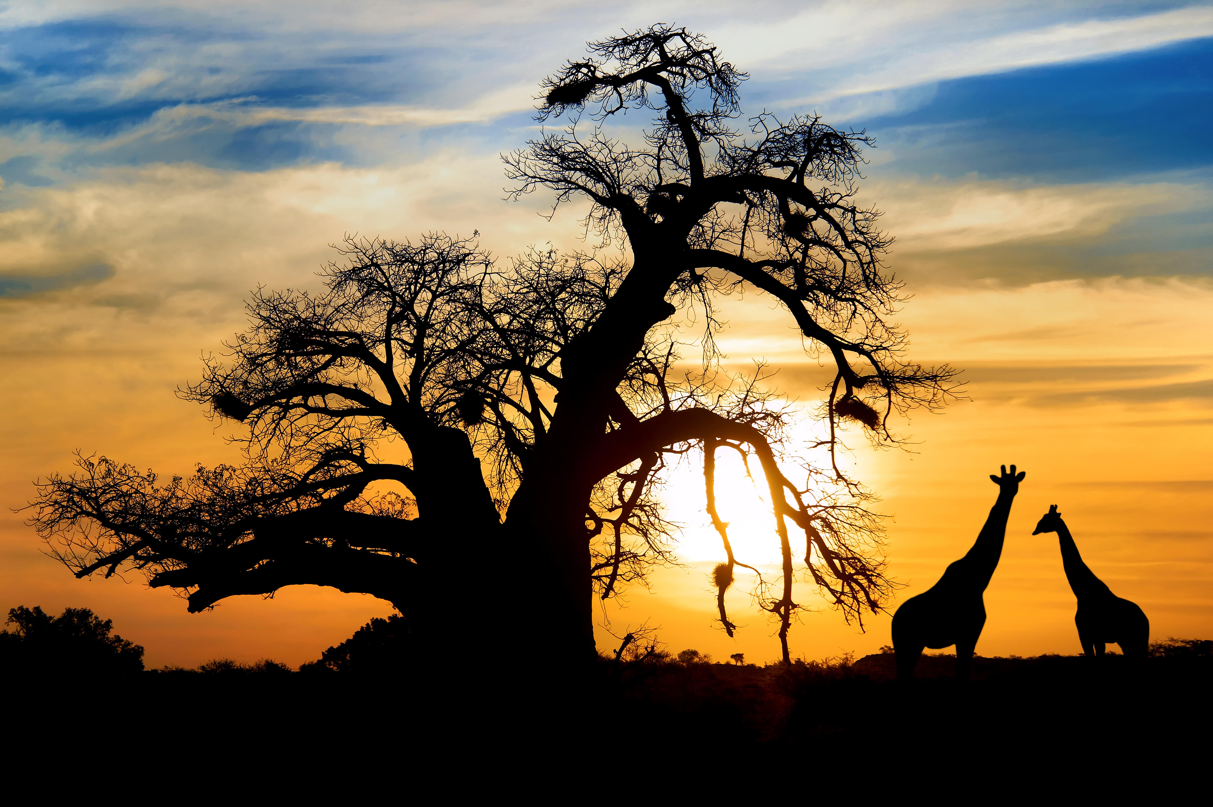 Africa Tour Packages | Upto 50% Off May Mega SALE