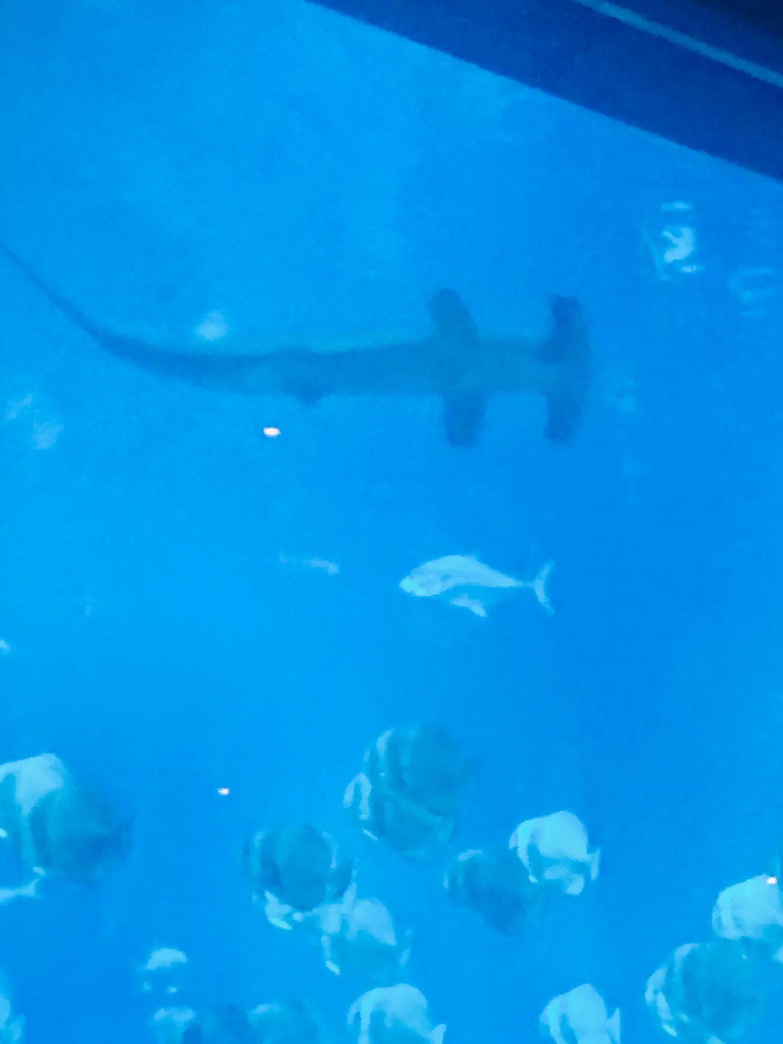Photo from Sarah Dunne's trip