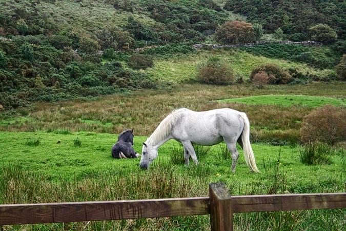 Galway's Land National Park