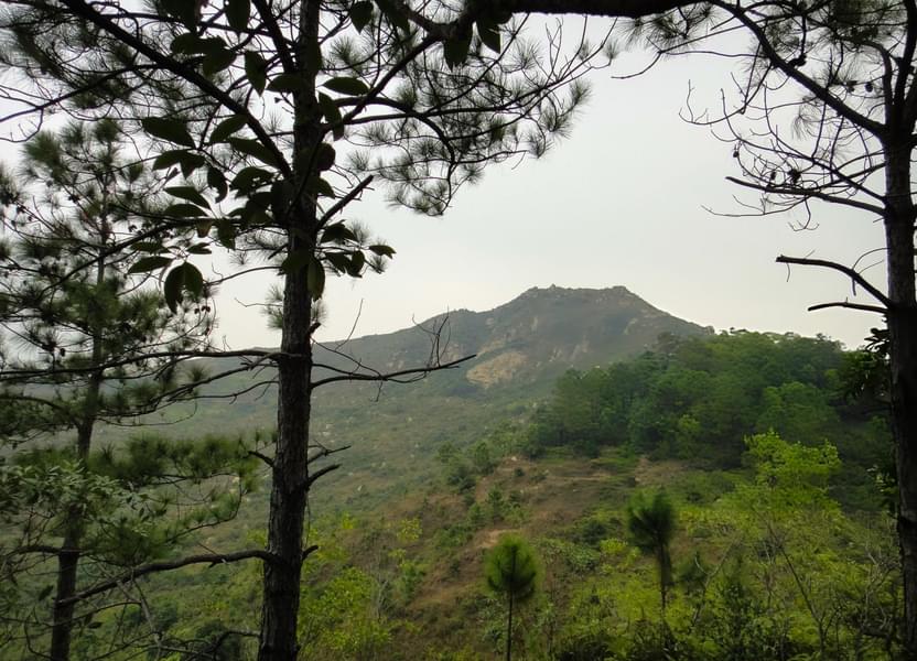 Jeep Ride To Sathram & Mlamala Waterfalls From Thekkady Image