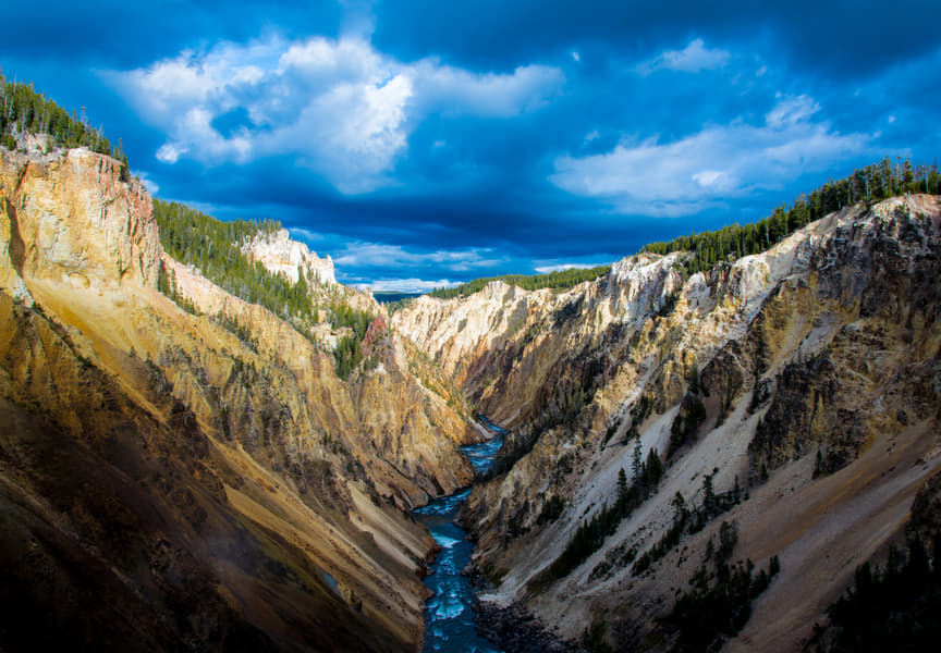 Yellowstone National Park Day Tour Image