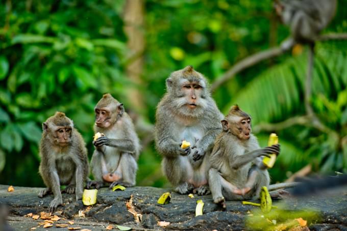 Bioparco di Roma