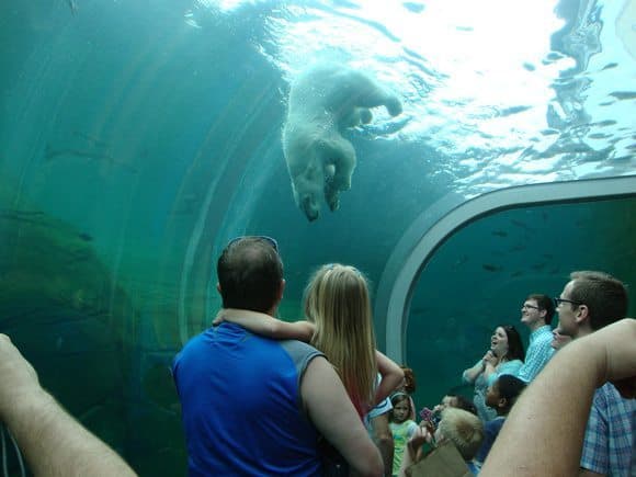 Columbus Zoo and Aquarium Tickets Image