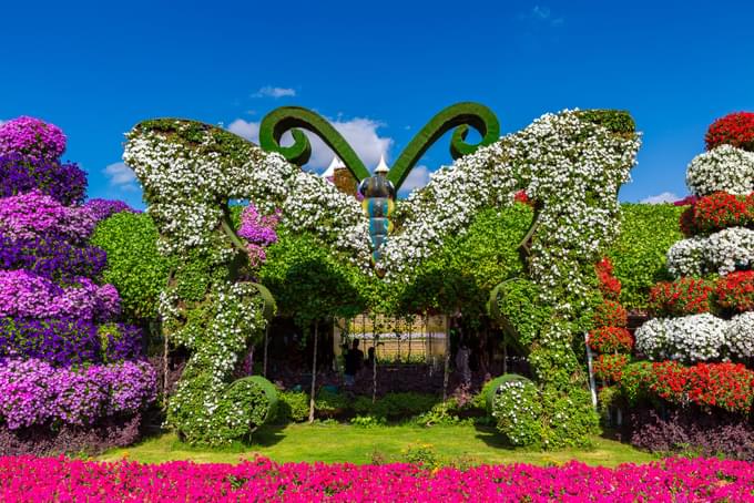 Butterfly Garden Dubai