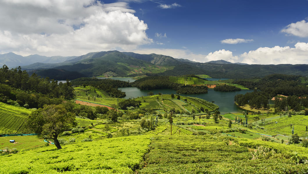 Surround yourself with the majestic Western Ghats in Kerela 