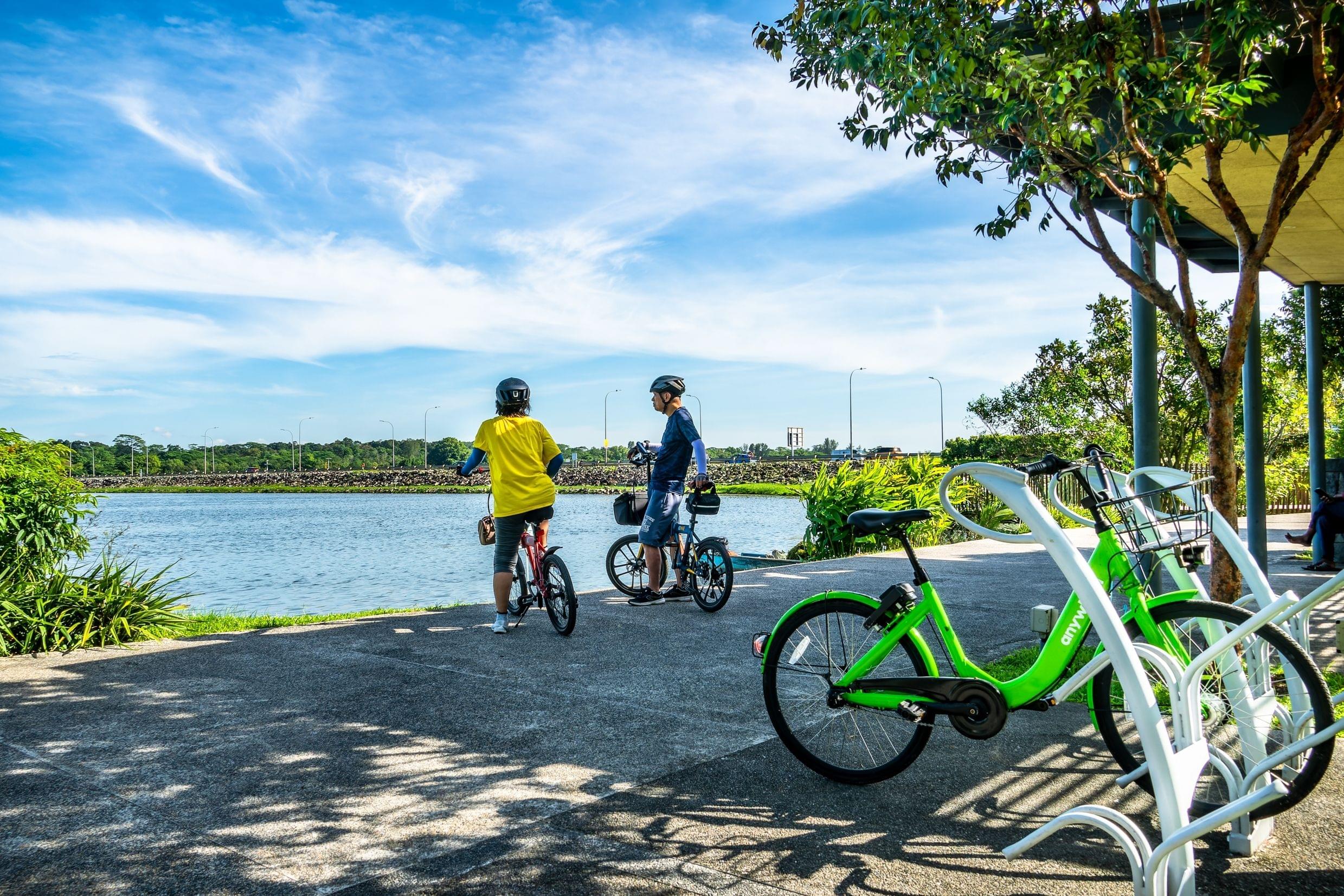 Top 11 Routes for Cycling in Pulau Ubin a for Thrilling Experience