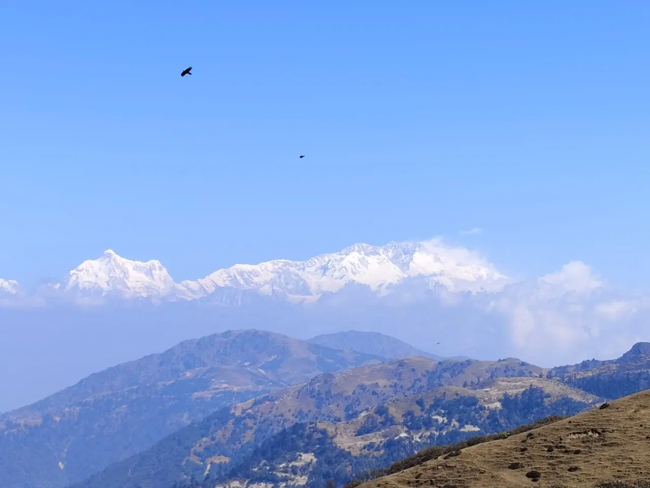 Photo from Harsh Puri's trip