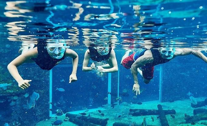 Sea World Ushaka Marine World Tickets