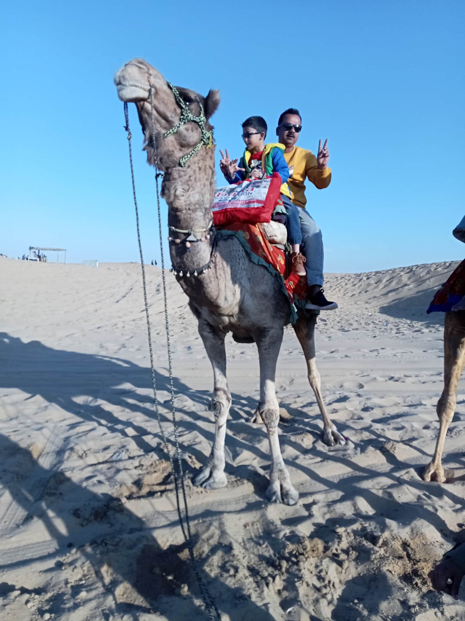 Photo from Pradipta  Tarafdar 's trip
