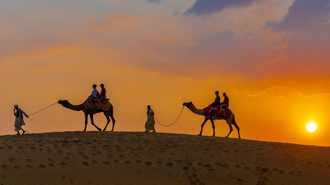 Camel Safari with Dinner, Jodhpur