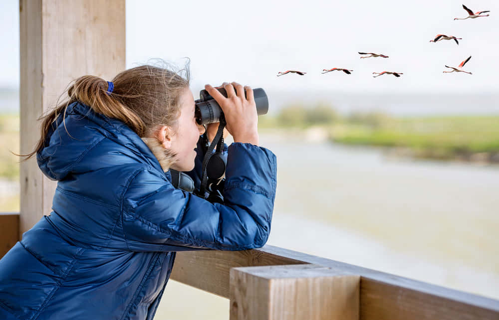Bhigwan Bird Watching