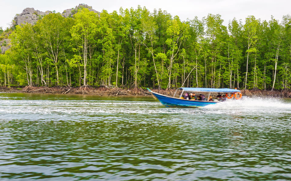 Kubang Badak Mangrove River Join-In Cruise with Swimming Image