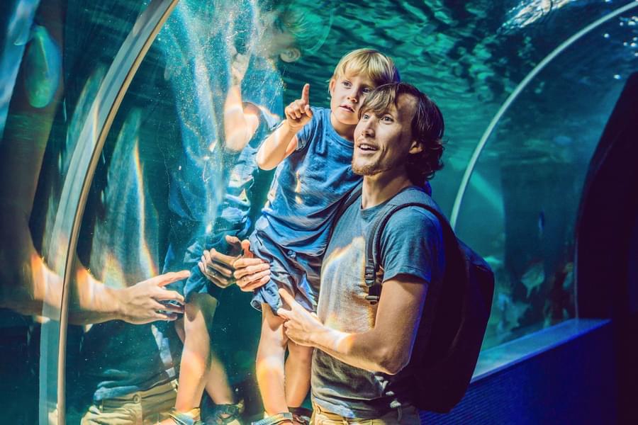 Your little ones will love exploring magnificent underwater world