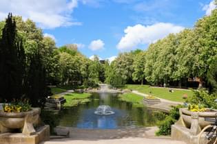 O8nqhmkxn7mag383huqdgix18sav noorderplantsoen scaled