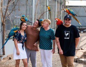 Maleny Botanic Gardens & Rainforest Reserve Day Tour, Australia