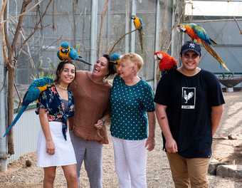 Maleny Botanic Gardens & Rainforest Reserve Day Tour, Australia