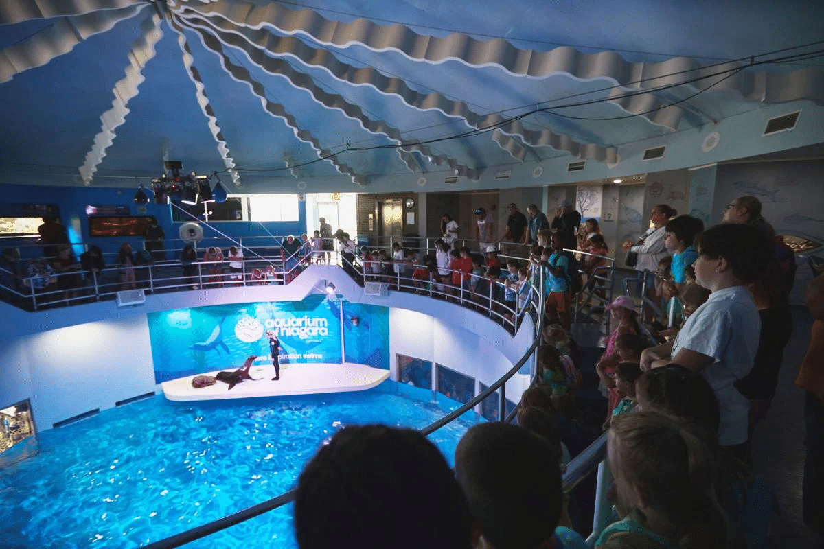 Aquarium of Niagara Overview