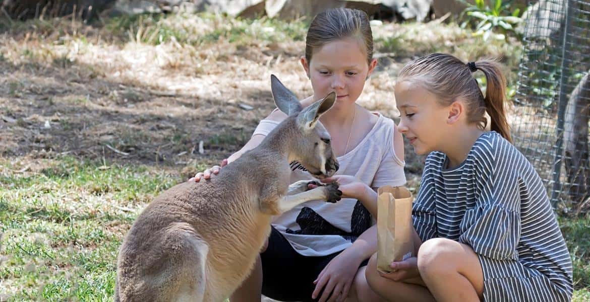 Gorge Wildlife Park Admission Tickets, Adelaide