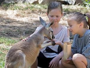 Welcome to the Gorge Wildlife Park in South Australia