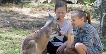  Gorge Wildlife Park in South Australia