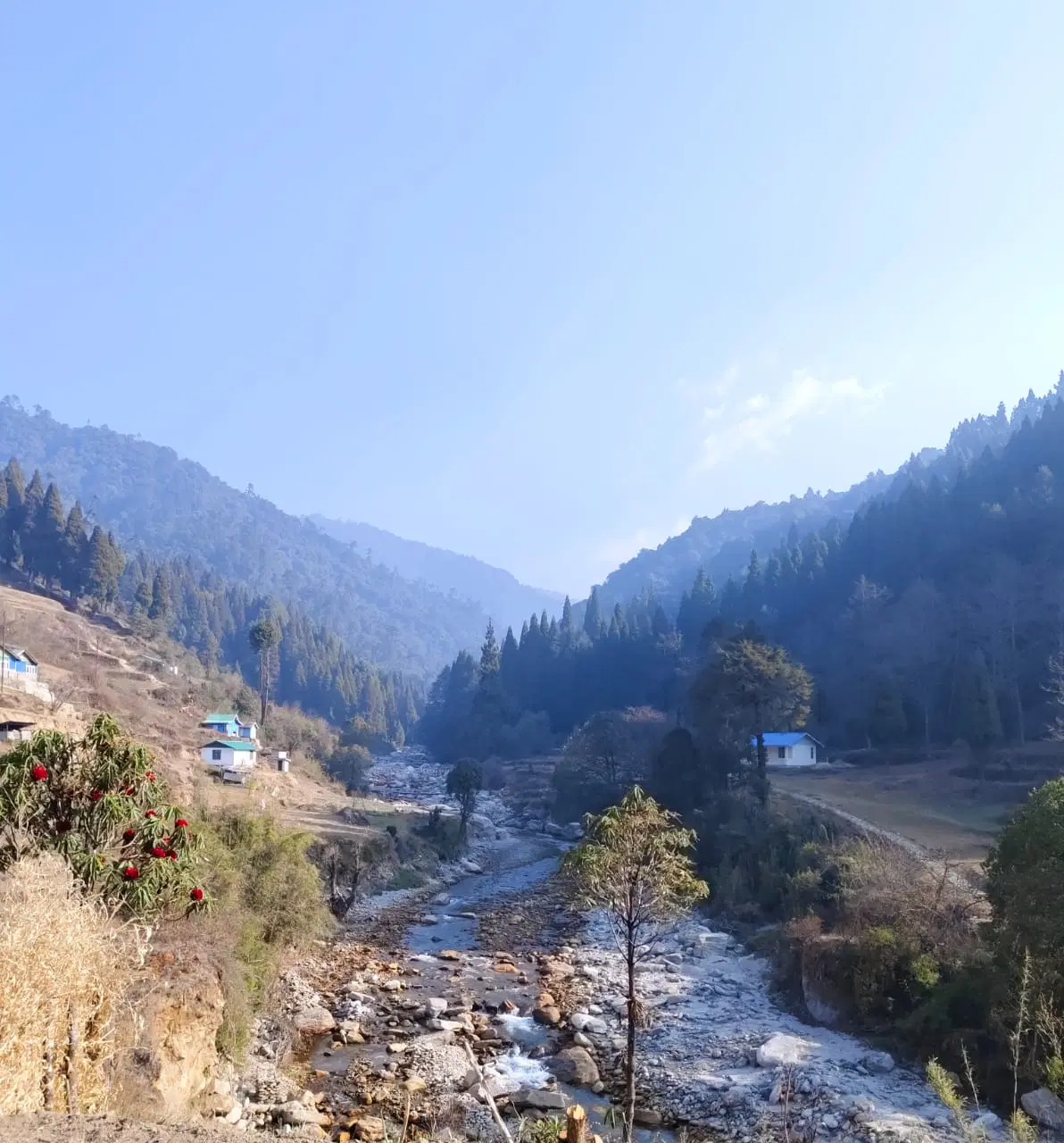 Photo from Harsh Puri's trip