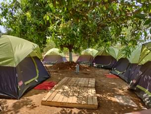 Enjoy an amazing camping experience in Kolad
