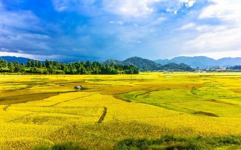 Ziro Tour Packages | Upto 50% Off May Mega SALE